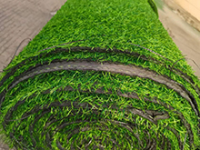 carpet turf8DF2E839-828397191
