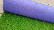 Fence grass45D-4528