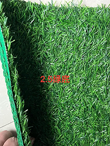 Simulated lawnA25-253