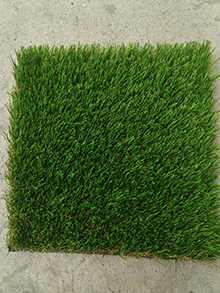 Plastic grass8A5-85145