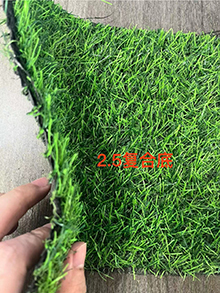 carpet turf883-8837772