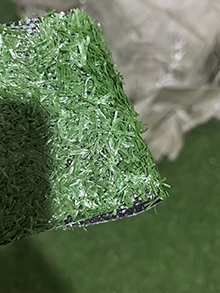 Simulated lawn55E0E983C-559