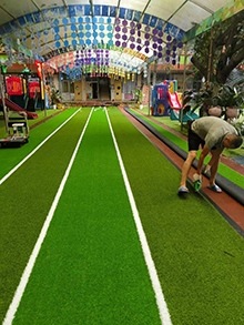 Plastic lawn2FF-263