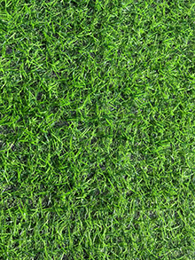 carpet turfFE0AE87-877
