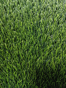 Plastic lawn713-713867