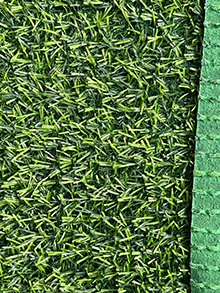 Simulated lawnA86-861