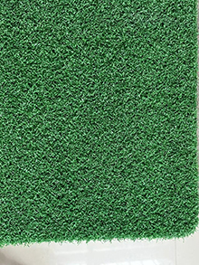 Simulated lawn08E5-8549787