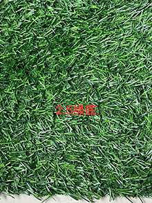Fence lawn552-552