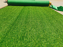 Fake turf28EBAD88-288896362