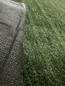 carpet turfBBFE-794897716