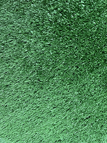 Fence lawn2FE9-294