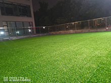 Fake turf990F0-9954799